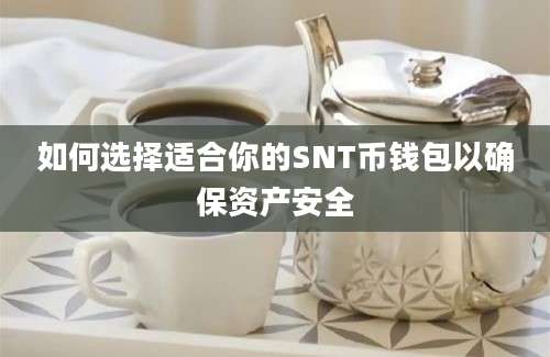 如何选择适合你的SNT币钱包以确保资产安全