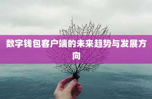 数字钱包客户端的未来趋势与发展方向