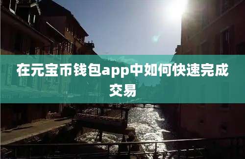 在元宝币钱包app中如何快速完成交易