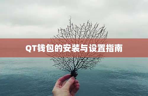 QT钱包的安装与设置指南