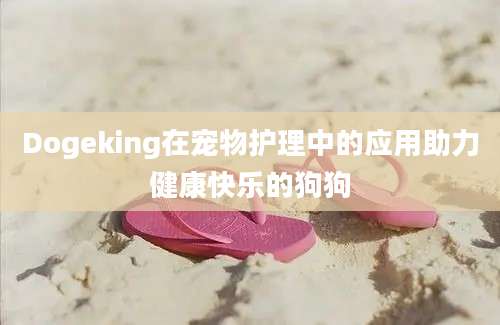 Dogeking在宠物护理中的应用助力健康快乐的狗狗