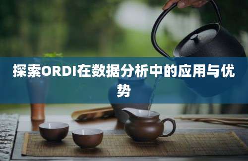 探索ORDI在数据分析中的应用与优势