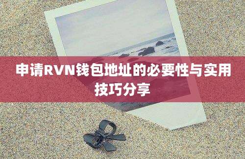 申请RVN钱包地址的必要性与实用技巧分享