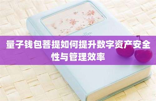 量子钱包菩提如何提升数字资产安全性与管理效率