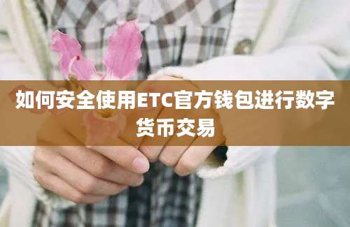 如何安全使用ETC官方钱包进行数字货币交易