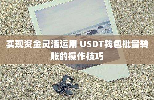 实现资金灵活运用 USDT钱包批量转账的操作技巧