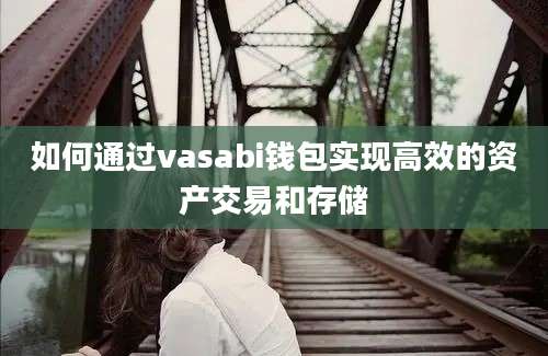 如何通过vasabi钱包实现高效的资产交易和存储