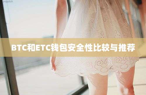 BTC和ETC钱包安全性比较与推荐