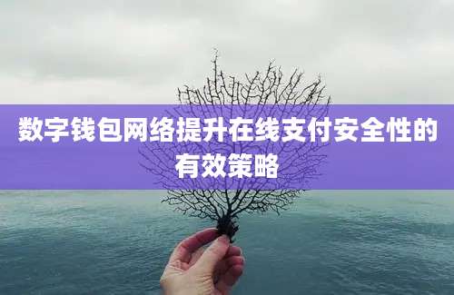 数字钱包网络提升在线支付安全性的有效策略