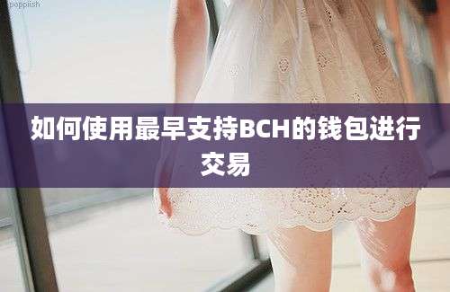 如何使用最早支持BCH的钱包进行交易