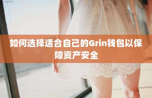 如何选择适合自己的Grin钱包以保障资产安全