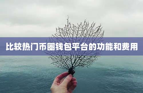 比较热门币圈钱包平台的功能和费用