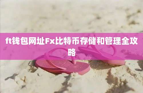 ft钱包网址Fx比特币存储和管理全攻略