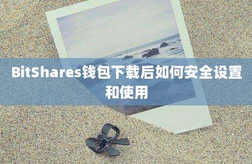 BitShares钱包下载后如何安全设置和使用