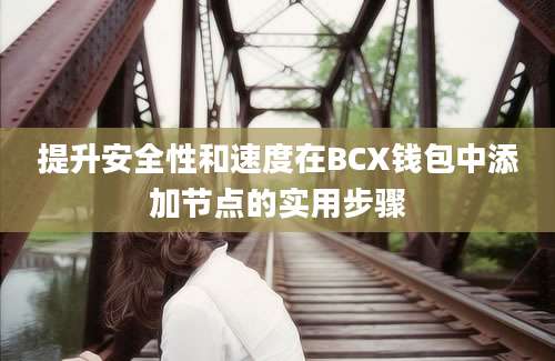 提升安全性和速度在BCX钱包中添加节点的实用步骤