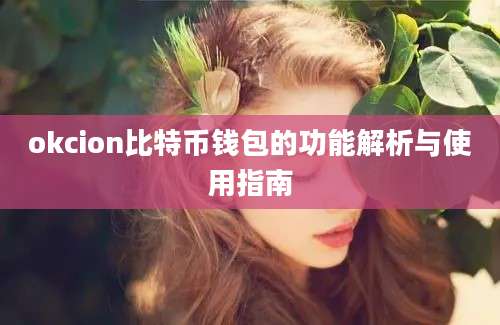 okcion比特币钱包的功能解析与使用指南