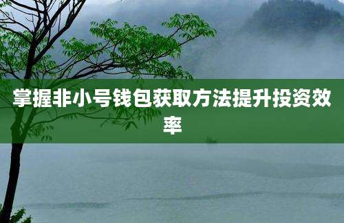 掌握非小号钱包获取方法提升投资效率