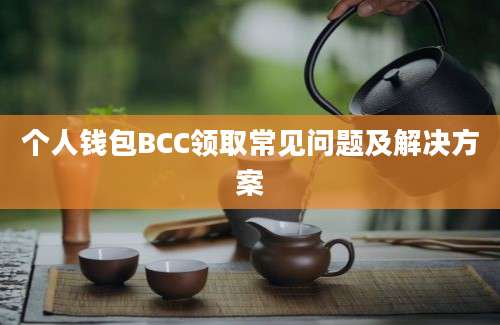 个人钱包BCC领取常见问题及解决方案