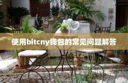 使用bitcny钱包的常见问题解答