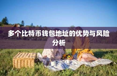 多个比特币钱包地址的优势与风险分析