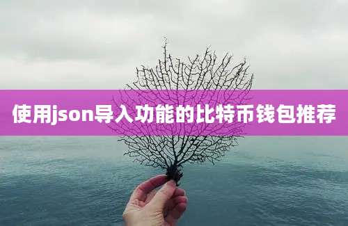 使用json导入功能的比特币钱包推荐