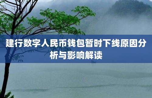 建行数字人民币钱包暂时下线原因分析与影响解读