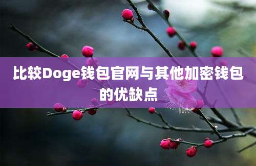 比较Doge钱包官网与其他加密钱包的优缺点