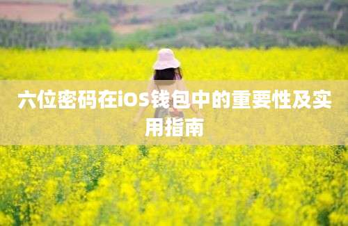 六位密码在iOS钱包中的重要性及实用指南