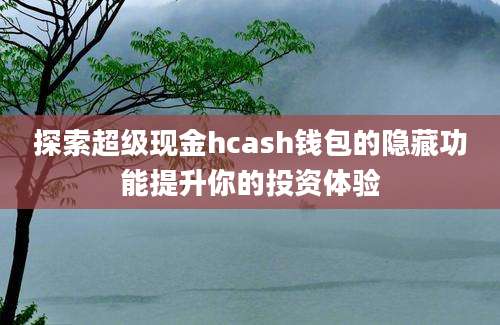 探索超级现金hcash钱包的隐藏功能提升你的投资体验