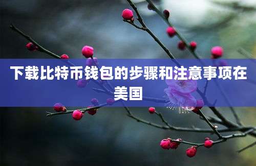 下载比特币钱包的步骤和注意事项在美国