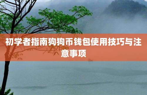 初学者指南狗狗币钱包使用技巧与注意事项