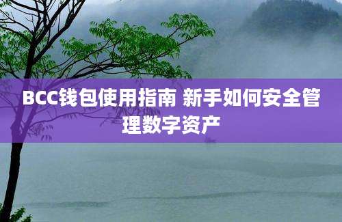 BCC钱包使用指南 新手如何安全管理数字资产