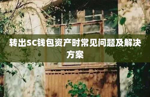 转出SC钱包资产时常见问题及解决方案