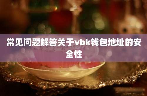 常见问题解答关于vbk钱包地址的安全性