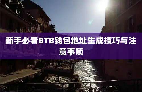 新手必看BTB钱包地址生成技巧与注意事项