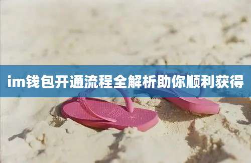 im钱包开通流程全解析助你顺利获得