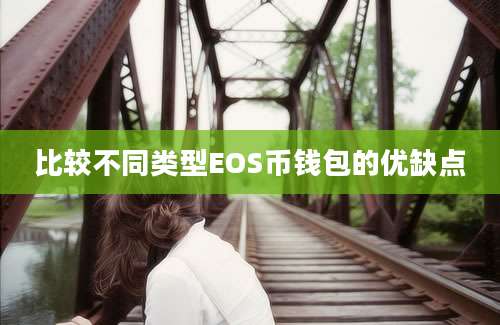 比较不同类型EOS币钱包的优缺点