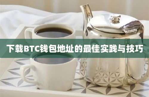 下载BTC钱包地址的最佳实践与技巧