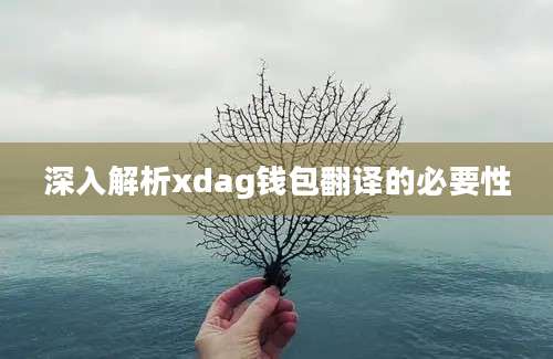 深入解析xdag钱包翻译的必要性