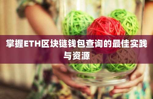 掌握ETH区块链钱包查询的最佳实践与资源