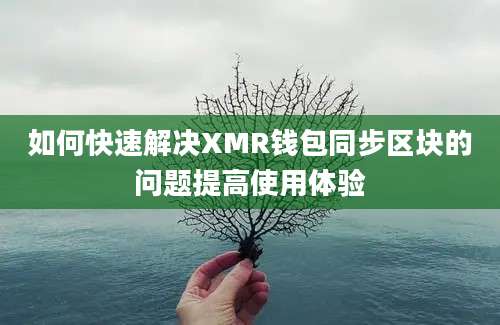 如何快速解决XMR钱包同步区块的问题提高使用体验