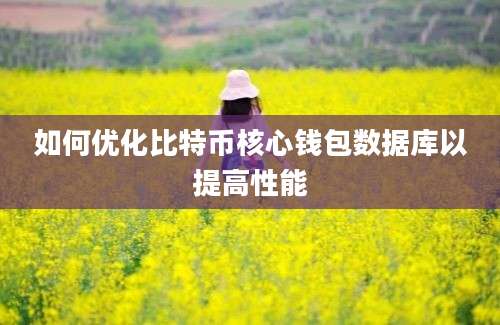 如何优化比特币核心钱包数据库以提高性能