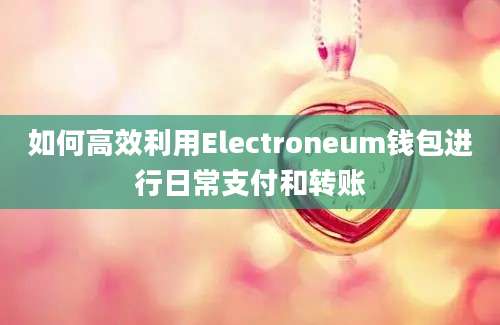 如何高效利用Electroneum钱包进行日常支付和转账