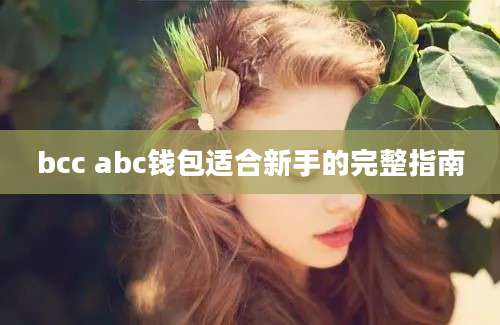 bcc abc钱包适合新手的完整指南