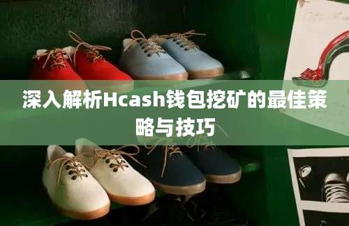 深入解析Hcash钱包挖矿的最佳策略与技巧