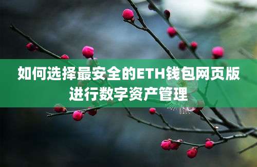 如何选择最安全的ETH钱包网页版进行数字资产管理