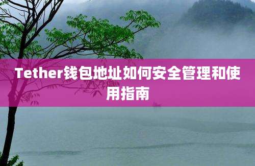 Tether钱包地址如何安全管理和使用指南