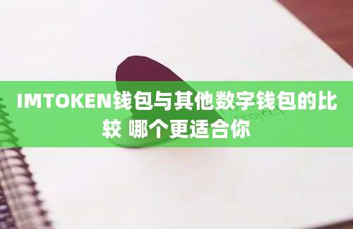 IMTOKEN钱包与其他数字钱包的比较 哪个更适合你