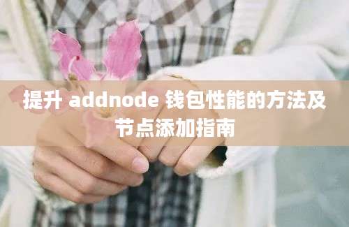 提升 addnode 钱包性能的方法及节点添加指南