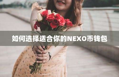 如何选择适合你的NEXO币钱包